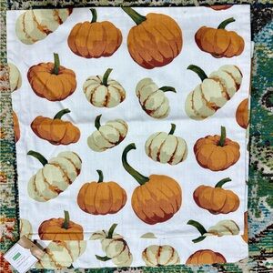 Pottery Barn Autumn Pumpkin Pillow Cover - Set of 2